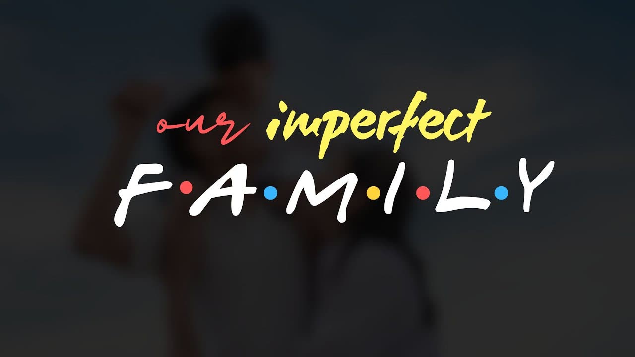 Our Imperfect Family series