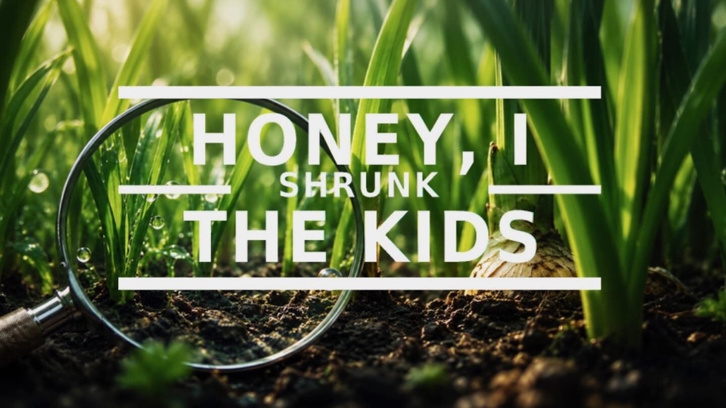Honey, I Shrunk the Kids — current series at The Pointe Church